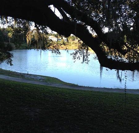 5th image of 1108 Wood Lake Ter