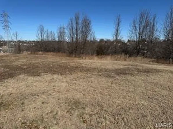 170 Bogey Blvd, Arnold, MO 63010