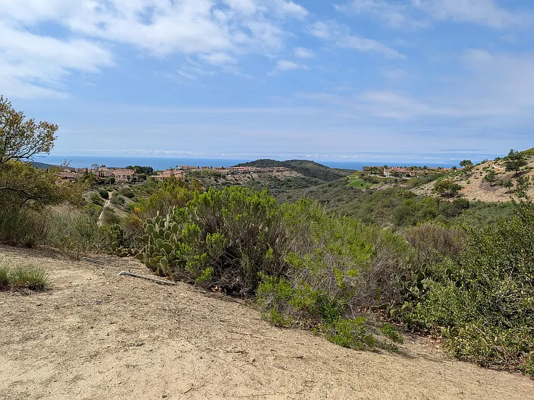 Coastal Oak — Photo 17