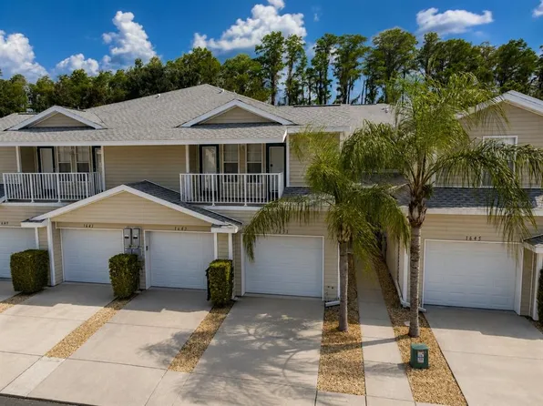 1651 HAMMOCKS AVENUE, LUTZ, FL 33549