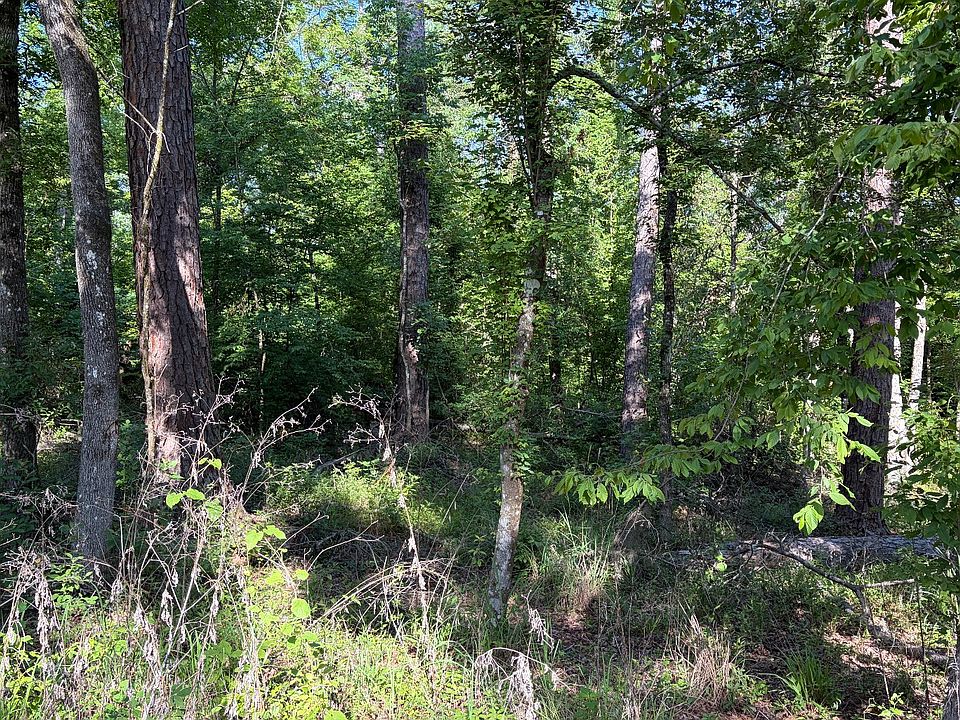 1st image of 177 Road