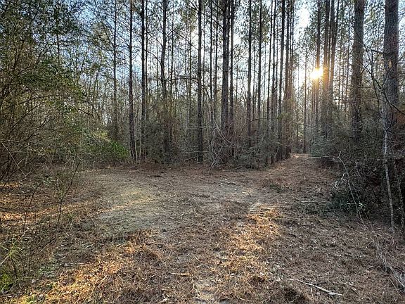 3rd image of 0 Highway 42