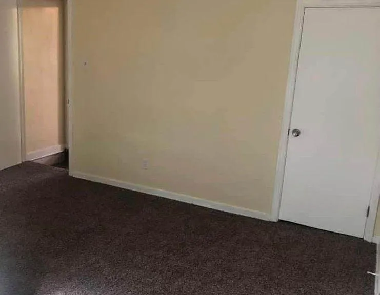 213 Amherst St — Photo 19