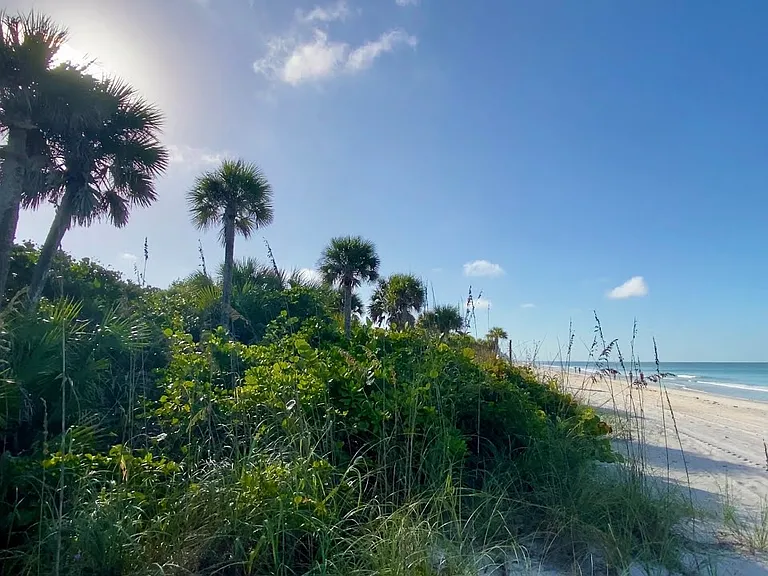 Beautiful Pelican Bay North Beach in morning, great time for a beach walk or jog!