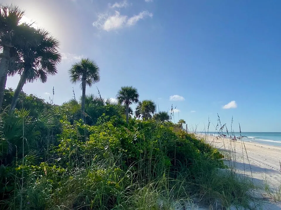 Beautiful Pelican Bay North Beach in morning, great time for a beach walk or jog!