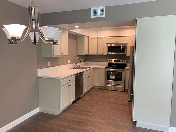 Brand new kitchen cabinets, counter tops and appliances.