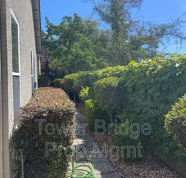 12040 Gold Pointe Ln — Photo 30