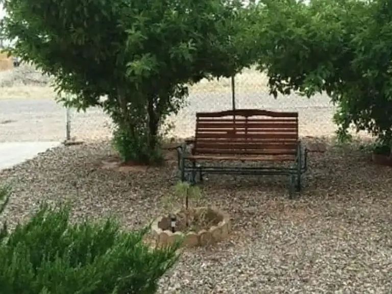 Front yard and smoking area, apple trees.