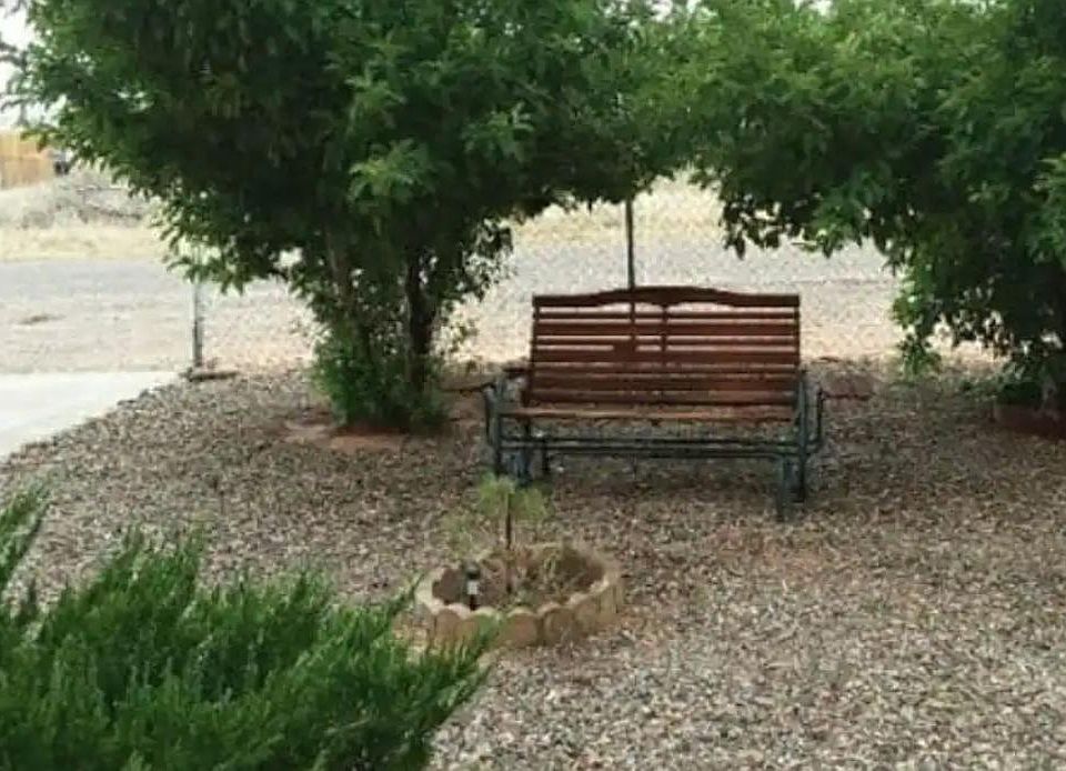 Front yard and smoking area, apple trees.