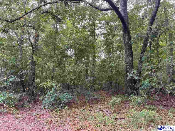 Pineneedle Cir, Johnsonville, SC 29555