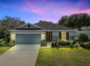 1725 Garden View St, Mascotte, FL 34753