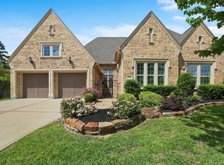 58 Lake Reverie Pl, The Woodlands, TX 77375