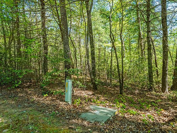 5th image of 35 Spring Camp Rd
