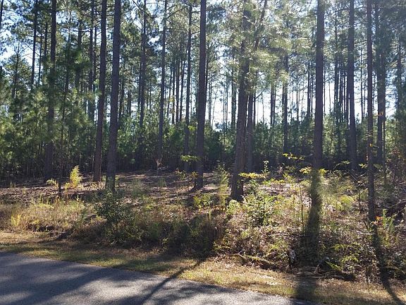 3rd image of 152 Grande Pines Ct E