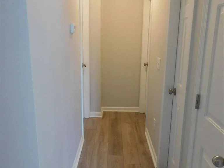 4409 Plum Frost Ct — Photo 23