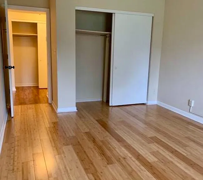 Bedroom with large closet and natural light