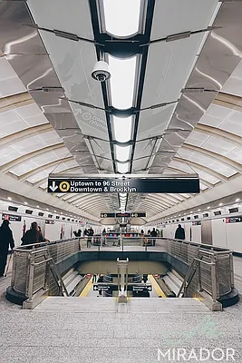 Rented by Greystar | media 41