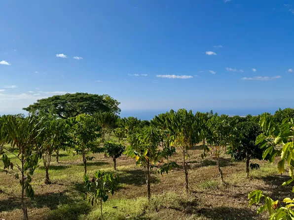 74-5025 Lawaia Pl Lot 4-A-1, Holualoa, HI 96725