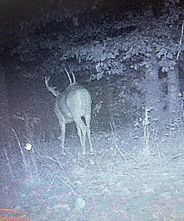 4th image of 60 River Hill Church Rd