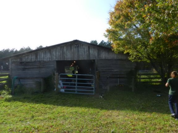 Barn