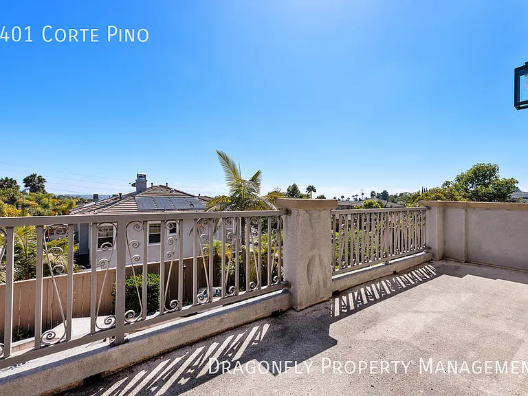 3401 Corte Pino — Photo 21