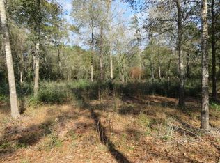 Tbd Greenway Drive, Plantersville, TX 77363