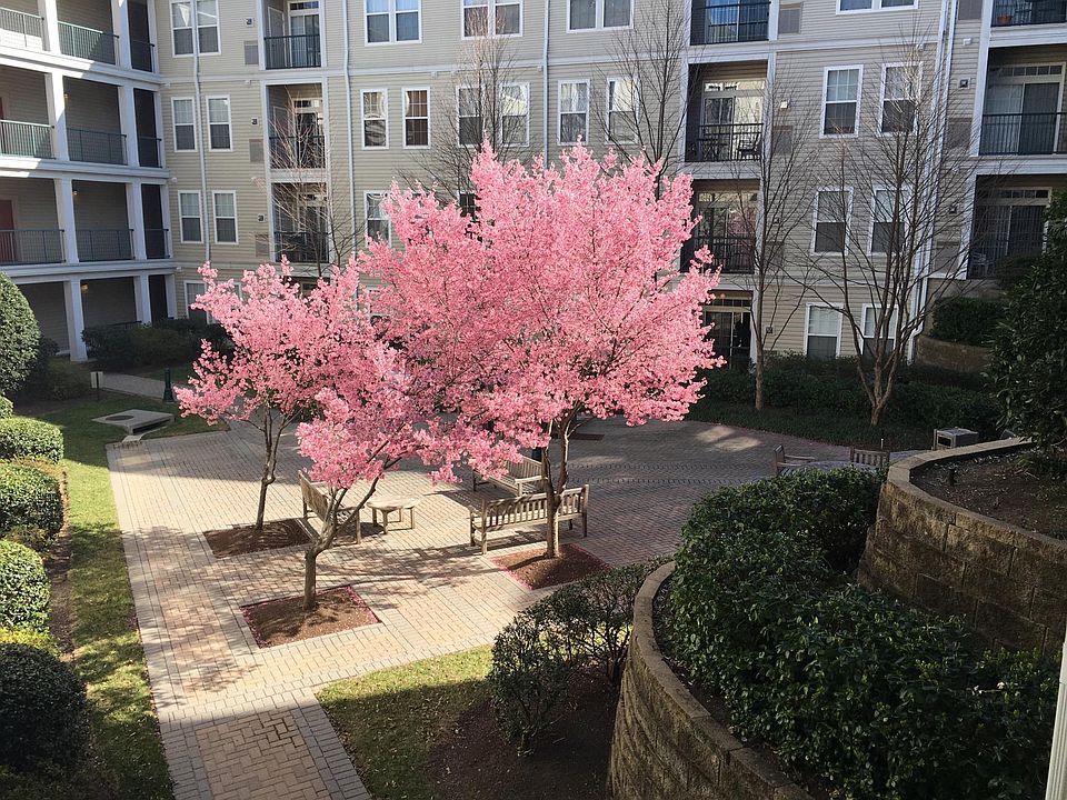 1st image of 2321 25th St S APT 108