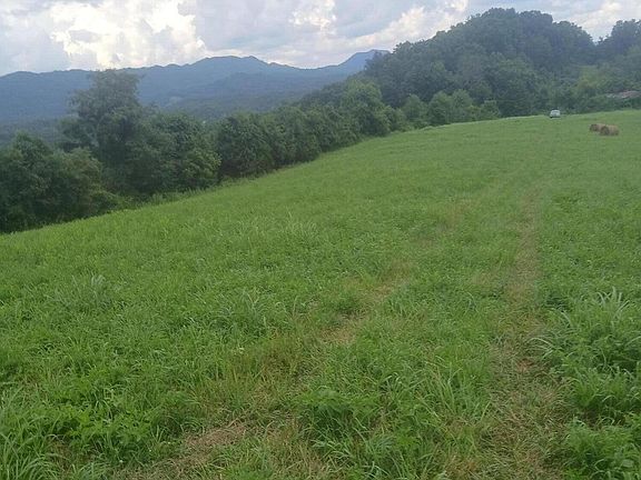 5th image of 305 Race Track Rd