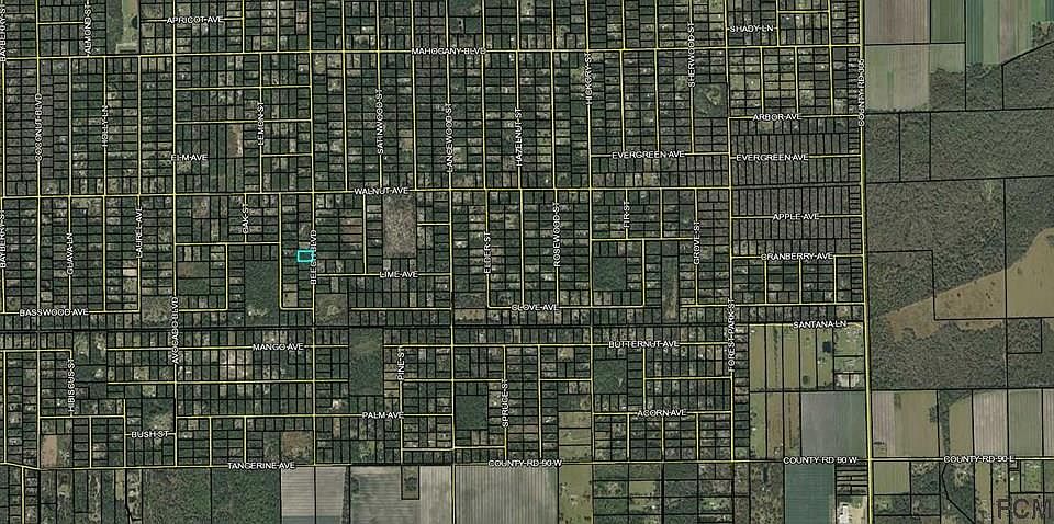 2nd image of 2216 Beech Blvd