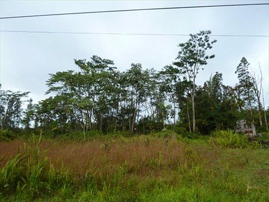 3rd image of Hibiscus Dr Lot 49