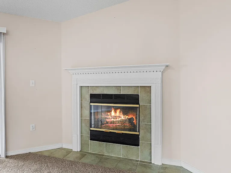 275 Limestone Cir — Photo 12