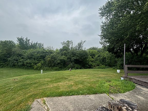 Back yard next to forest