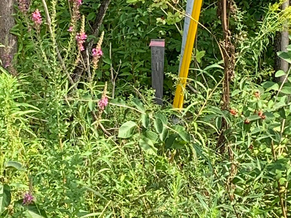 2nd image of Lot 67-01 Dunham Road