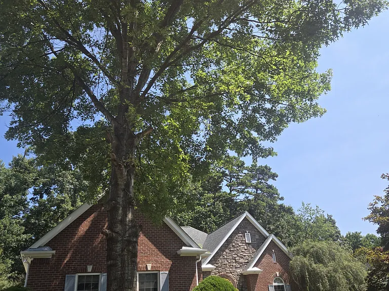 5935 Lake Oak Lndg — Photo 6