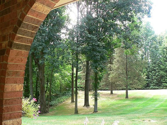 View from front porch