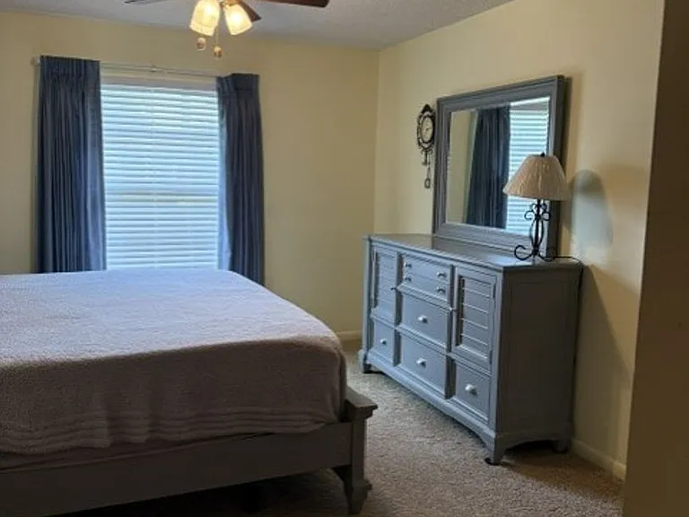 37819 Alissa Dr — Photo 13