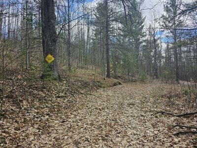 7033 W Batterson Rd, Frederic, MI, 49733