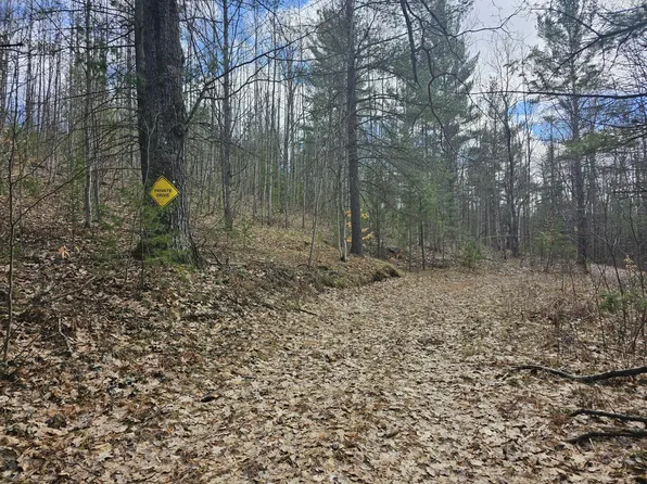 7033 W Batterson Rd, Frederic, MI 49733