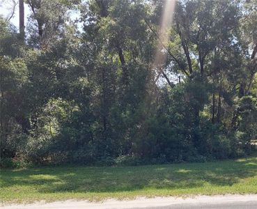 0 Saint George Dr #92, Dunnellon, FL, 34432
