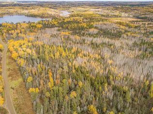 Tbd Pine Street Rd, Ely, MN 55731