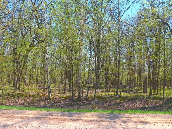 392 Fawn Ct, Browerville, MN 56438