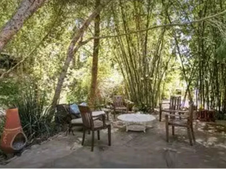 SE patio/yard