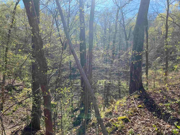 0 Millstream Cove Rd, Muscle Shoals, AL 35661