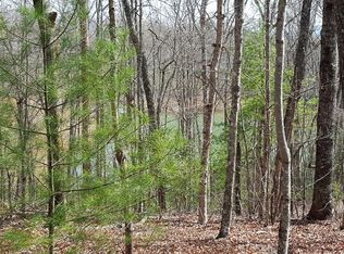 LOT 101 Forest Hill Dr, Blue Ridge, GA 30513