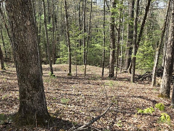 4th image of 999 Victory Falls Rd Lot 11