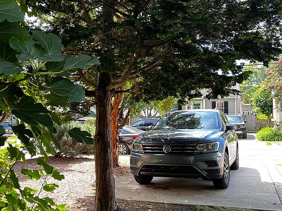 Private driveway off the street