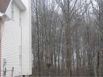 2nd image of 78 Melbloum Ln