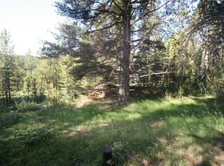 137 Meadows Dr, Leadville, CO 80461