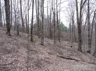 Tbd Springwood Dr, Boone, NC 28607