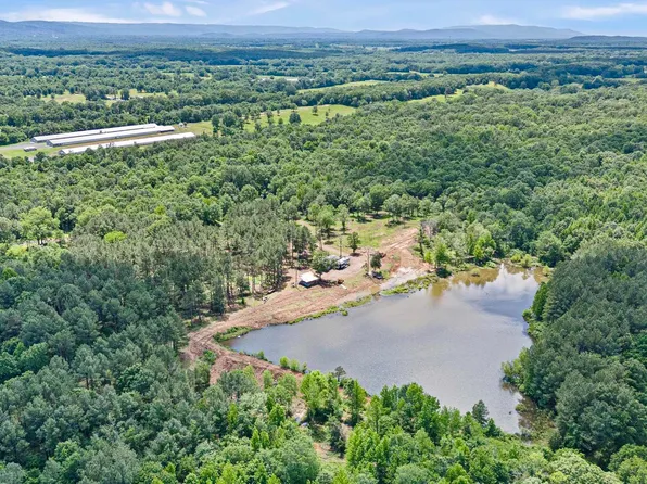 (undisclosed Address), Belleville, AR 72824